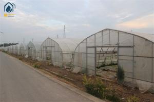 Quality Arched Temperature Control Tunnel Green Houses With Outside Shading System wholesale