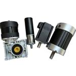 Customizable 12v 24v 36v 48v 60v Brushless Dc Car EV Motor, Weel Driving Off