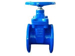 Quality (DIN) Cast Iron Resilient Gate Valve nor-rising stem wholesale