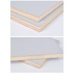 WBP Birch Plywood Sheet 12mm 15mm 18mm 21mm Plywood Template