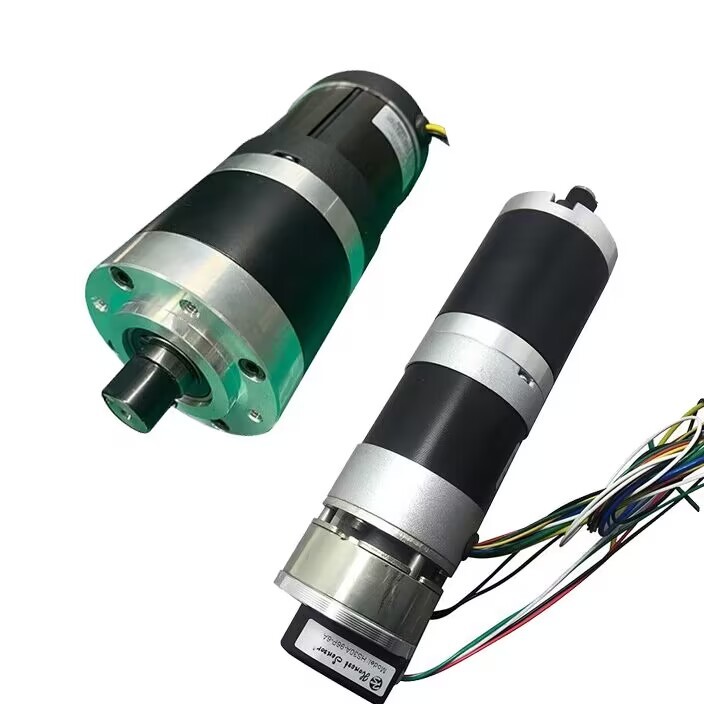 Automatic Dc Door Opener Motor 12v 24v with Worm Planetary Gearbox for Door Gates Automation Opening Lifting and Sliding