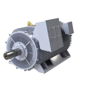 Quality IP54 Brushless Permanent Magnet Motor Water Cooled Variable Speed 3 Phase Motor wholesale