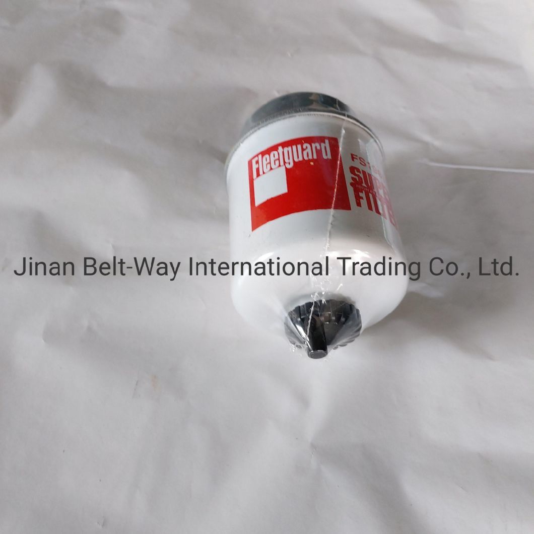 Truck Parts Truck Spare Parts Fuel Water Separator Fuel Filter Fs19811