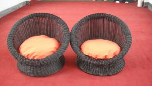 Quality Wicker Pet Bed With Powder Coated Aluminum Frame , 510Lx490Wx305Hmm wholesale