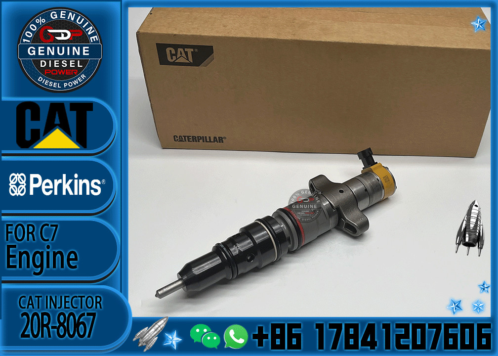 Diesel Engine Parts Common Rail Fuel Injector 20R-8067 for CAT C7 Diesel Engine CNDIP Factory price