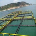 PE Bracket Square Floating Fish Cage Excellent Flexibility Hygienic Safety