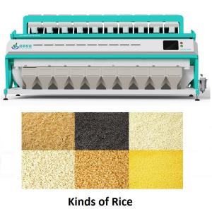 Quality CCD Intelligent Digital Rice Color Sorter Machine 10 Chutes Green Color wholesale