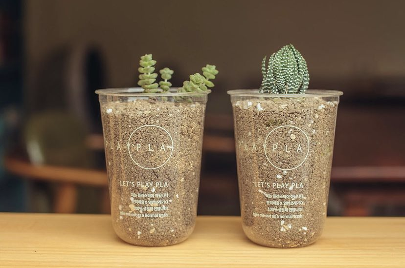 16 Oz Beverage Biodegradable PLA Cups Odm For Wedding