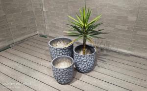 Quality Keep 5-6 Years Of Outdoor Life With Our Frost Resistant Reinforced Clay Planter Guaranteed wholesale