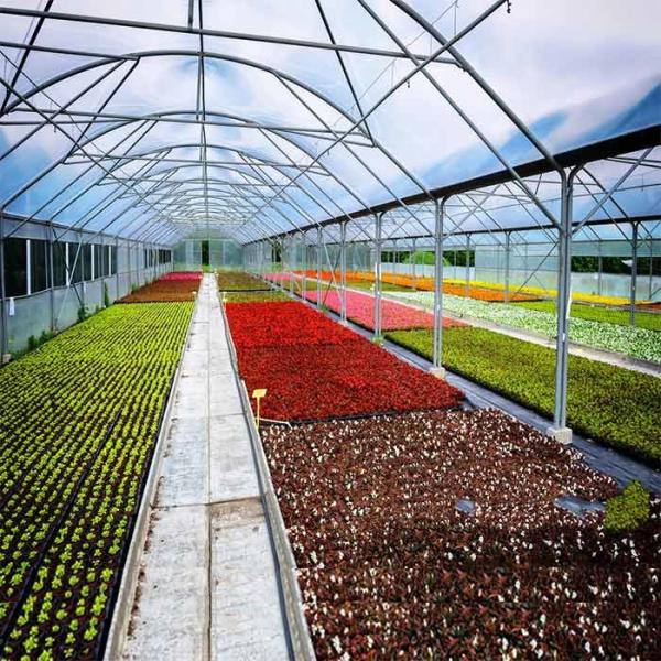 Cheap Acid Corrosion Resistant Q345B Frame Greenhouse Solar System for sale