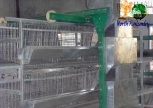 Quality poultry cage wholesale