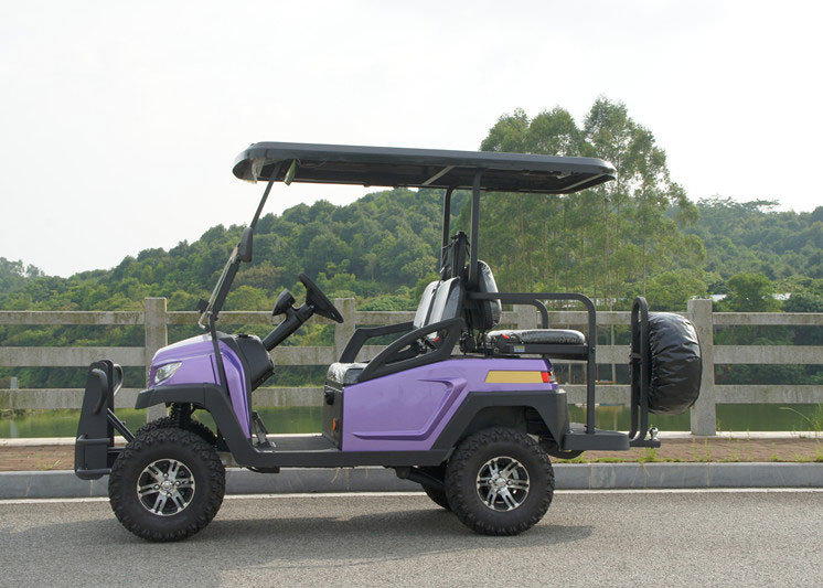 Energy Saving 4 Seater Battery Powered Car Golf Cart With Brake System