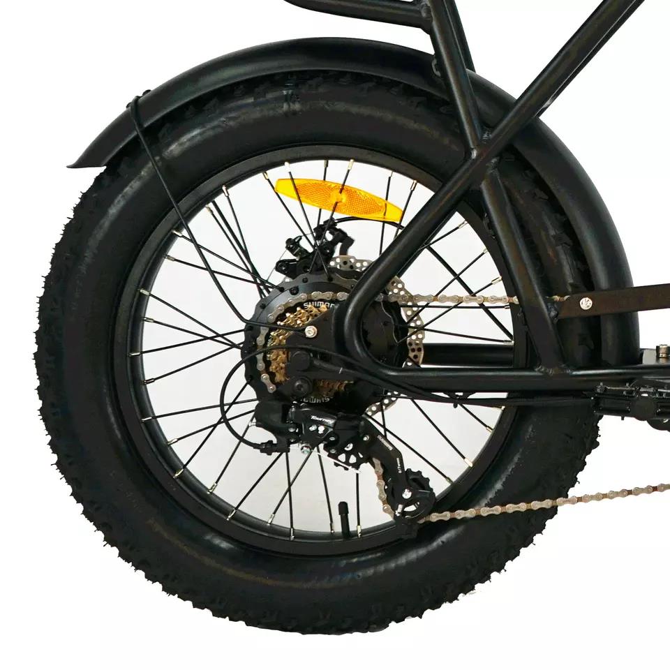 48v 500w E Bike 2 Seat Fast Speed Electric Snow Beach Bicycle with Customized Design