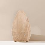 200ml Spray Mist Air Humidifier Portable Diffuser Humidifier