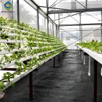 Weather Resistance Hydroponic System Greenhouse Multispan For Planting