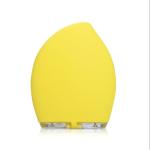 7000 Pulse Response 70g 3.7V Ultrasonic Facial Brush