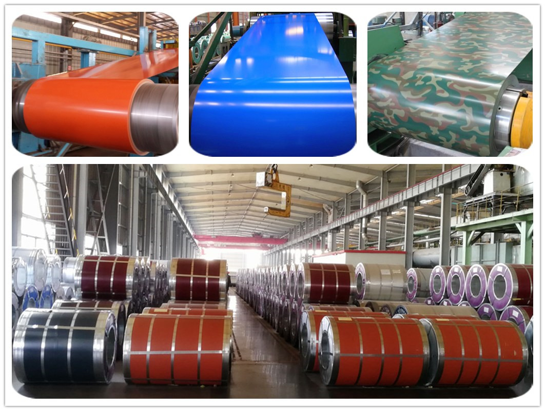 JIS/BS/EN/ASTM Standard Prepainted Galvanized PPGI Coils for Corrugated Sheet Making and Color Coated Steel Coil PPGI