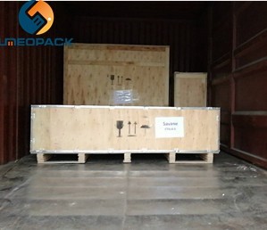 Automatic ice cube packing machine