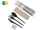 CPLA Material Eco Friendly Cutlery Set Disposable Biodegradable
