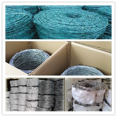 High Quality PVC Coated Double Twisted Barbed Wire BWG12 for Pasturage Boundary
