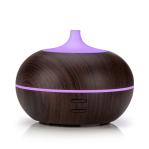 Home Electric Ultrasonic 100ml USB Aroma Essential Oil Diffuser