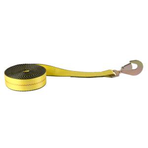 Quality Manufacture Lashing Strap/Plating Color Flat Snap Hook 2 Inch Winch Straps wholesale