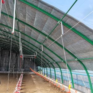Quality Agriculture Poultry Farming Chicken Heated Greenhouse Automatic wholesale