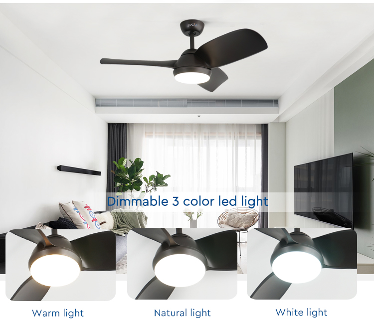 ceiling fan