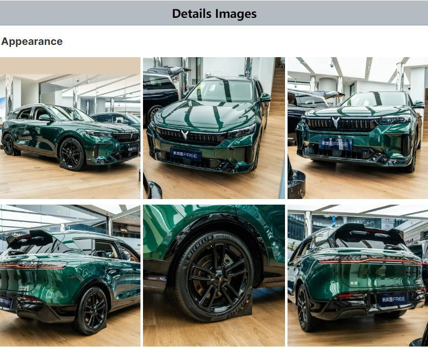 Dongdeng Voyah Electric Car 860km New Energy Vehicles Voyah Free 2024