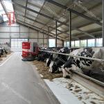 Lanjing Prefabricated Steel Structure Farm House , Modern Metal Livestock