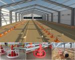 Galvanized Poultry Light Steel Frame Construction Bolts Connection Steel Chicken