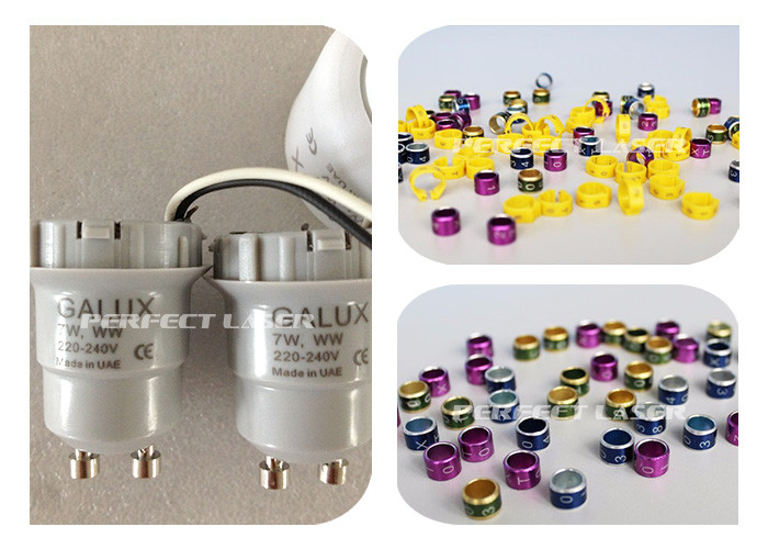 Small Size Metal Laser Ring Engraving Machine With LED Light Bulbs Lamp Tube