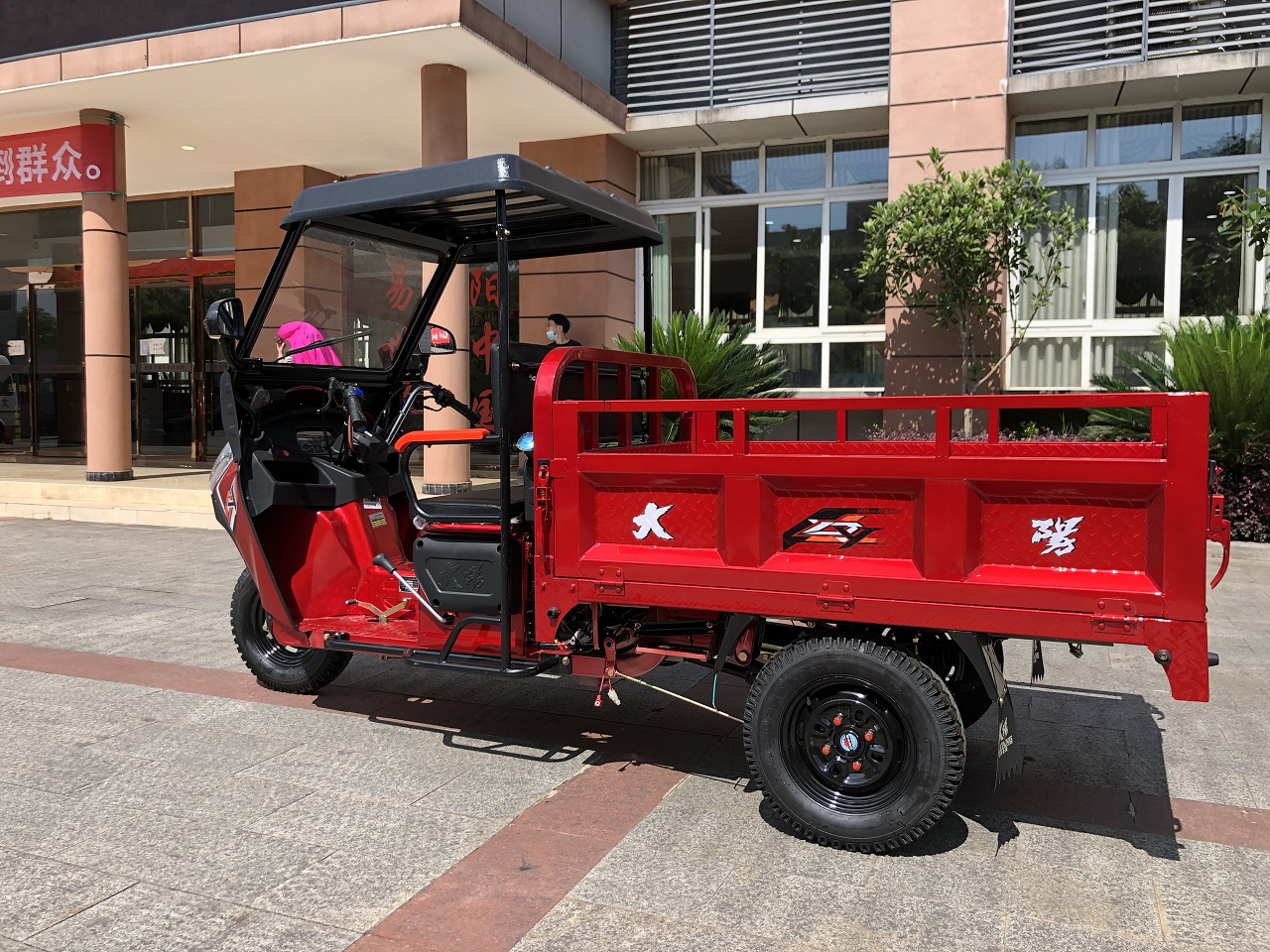 DAYANG Big Space Displacement 250cc Delivery Motorized Tricycle for Zambia Cargo