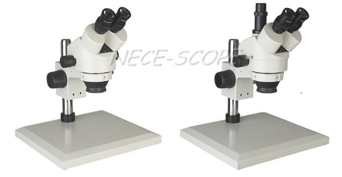 Interpupillary Distance Trinocular Compound Microscope Binocular Inclined At 45°