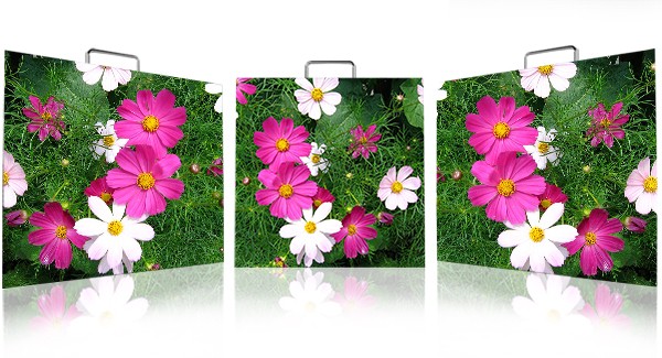 New product Indoor and Outdoor P3.91 P4.81 P5 P5.95 P6.25 Indoor 500*1000mm small