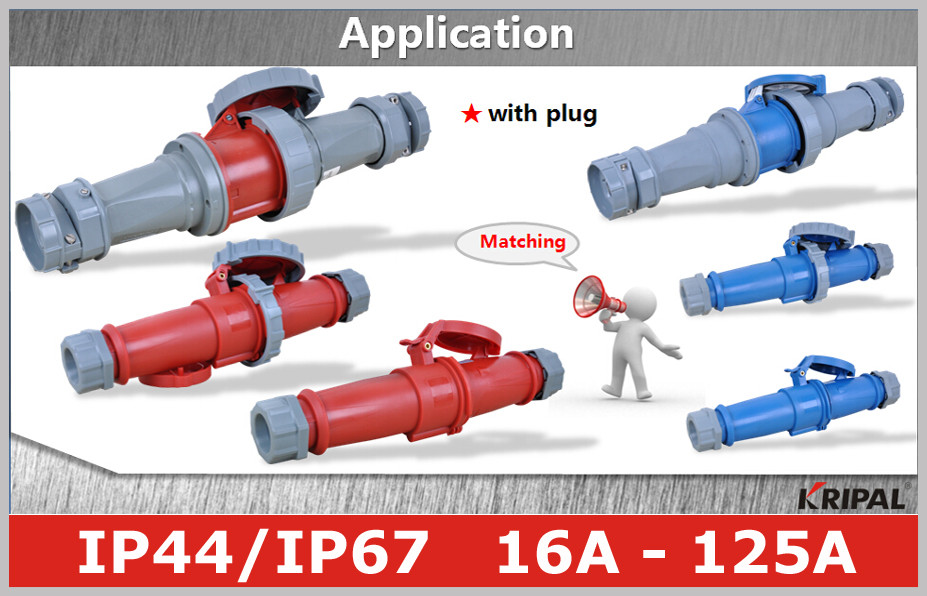 Three Phase CEE Industrial And Multiphase Power Plugs And Sockets