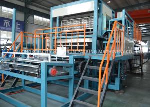 Quality Auto-automatic Pulp Molding Machine , Egg Tray Making Machine Line wholesale