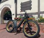 Long Range Beach Cruiser Electric Bike 48V 750W 26 Inch Fat Tire Ebike Beach
