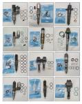 4D56 L200 Common Rail Fuel Injector 1465A257 095000-0313 095000-1090 095000-9560