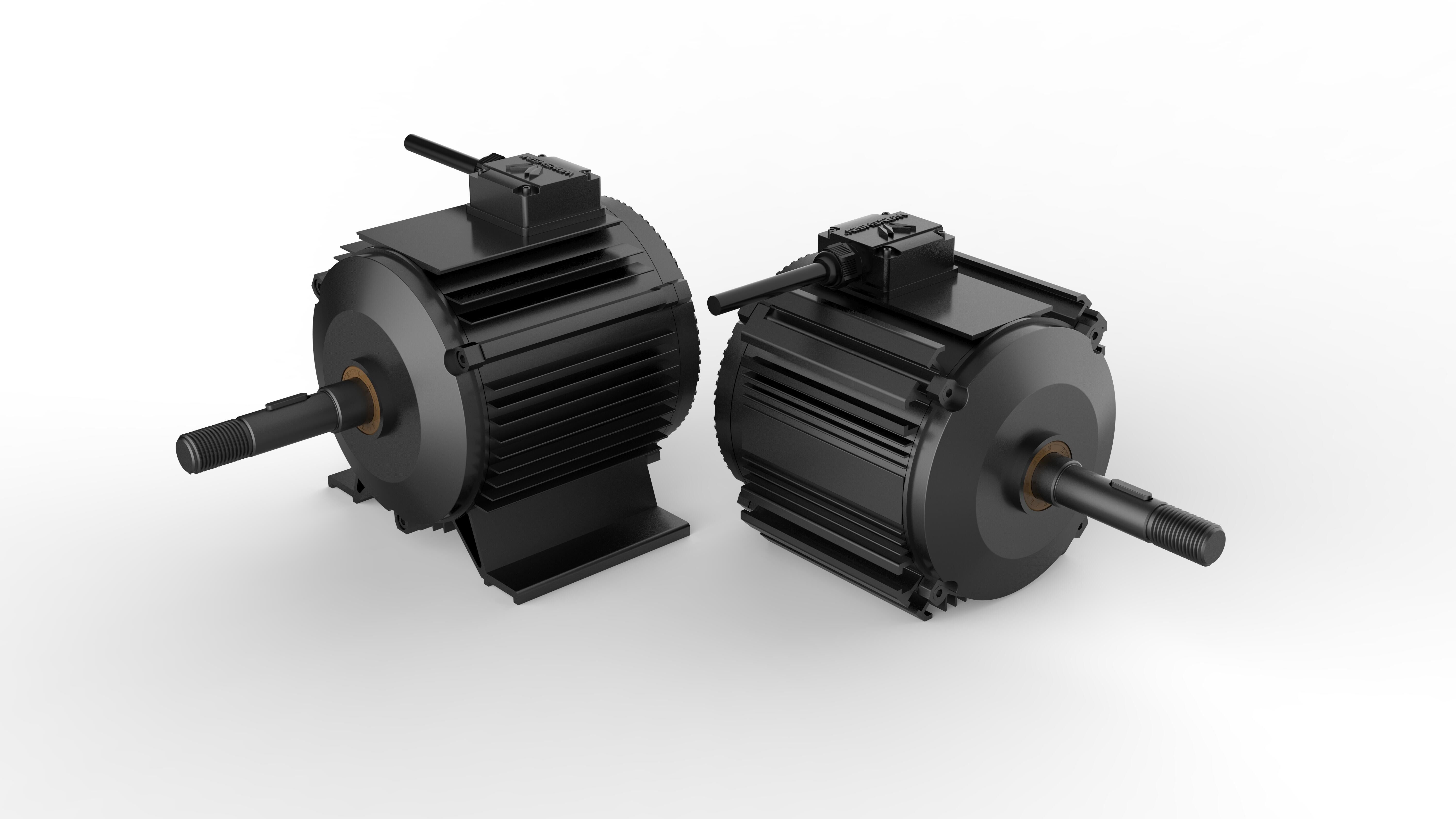 Wanshsin Permanent Magnet Synchronous Electric Motor 220V AC 0.5kW