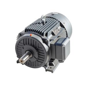 Quality 4 Poles Gearless Permanent Magnet Motor China Manufacturer wholesale