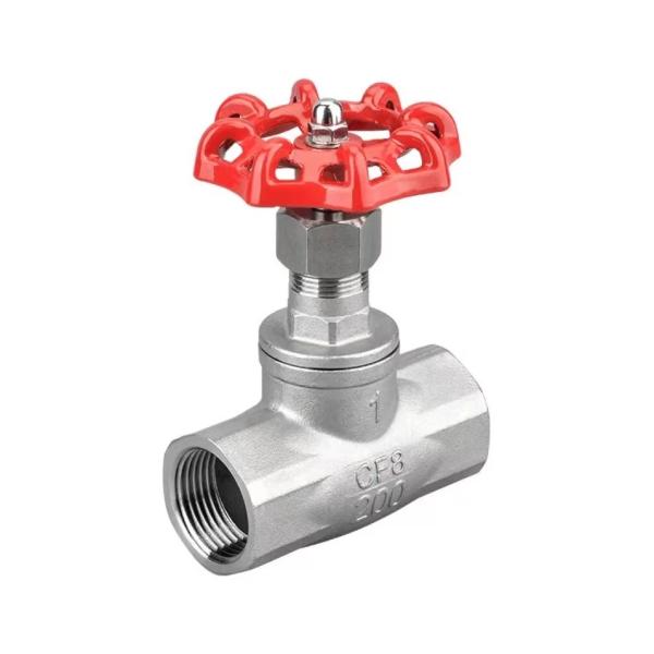 Straight Through Type Stainless Steel Ss201/SS304/SS316 200wog Thread Globe
