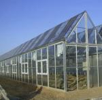 6/9.6/12meters Single/Multi Span Photovoltaic Greenhouses for Country Illuminate