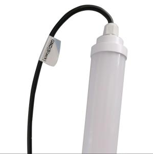 Quality DC12V LED Poultry Lighting 5ft Fluorescent Light Fitting High Safety wholesale