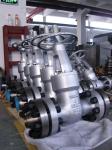 Class150 Solid Wedge Gate Valve