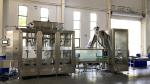 Stainless Steel Manual Bottle Capping Machine Semi Automatic 2~24 Head English