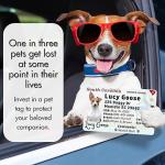 DIY MDF Sublimation Dog Tag Blanks Heat Transfer Blank PET Tag