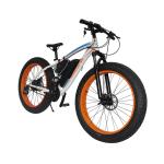 Fat Tire Snow 2 Wheel Electric Bike 500w Foldable 4-6h Charging Time With CE