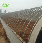 Agricultural Solar Greenhouses with Ventilation System and Customizable Arch