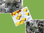 Vegetable Gelatin Softgel Machine For 50000-70000 Capsules